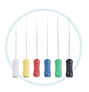 Group 37 1 e1742215408261